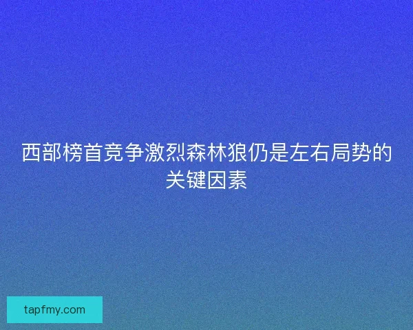 西部榜首竞争激烈森林狼仍是左右局势的关键因素